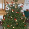 Vánoce ve škole - vánoční trhy 16. 12. 2011